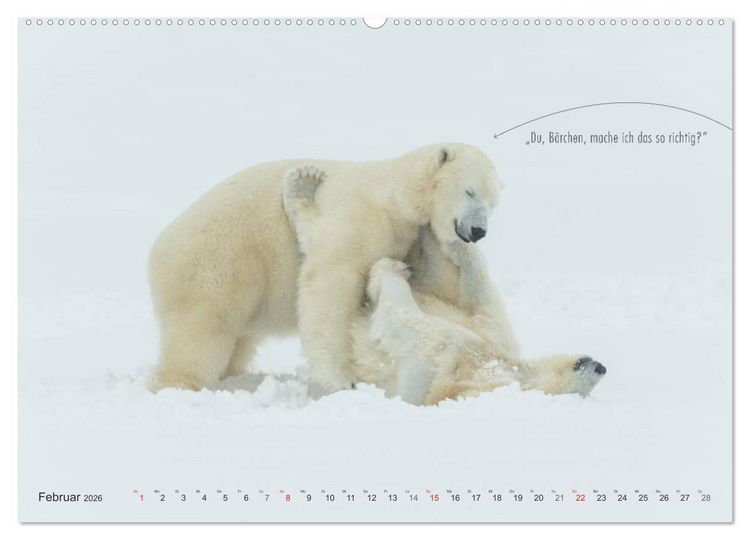 Produktbild: Emotionale Momente: Eisb&auml;ren - ganz menschlich gesehen. (Wandkalender 2026 DIN A2 quer), CALVENDO Monatskalender
