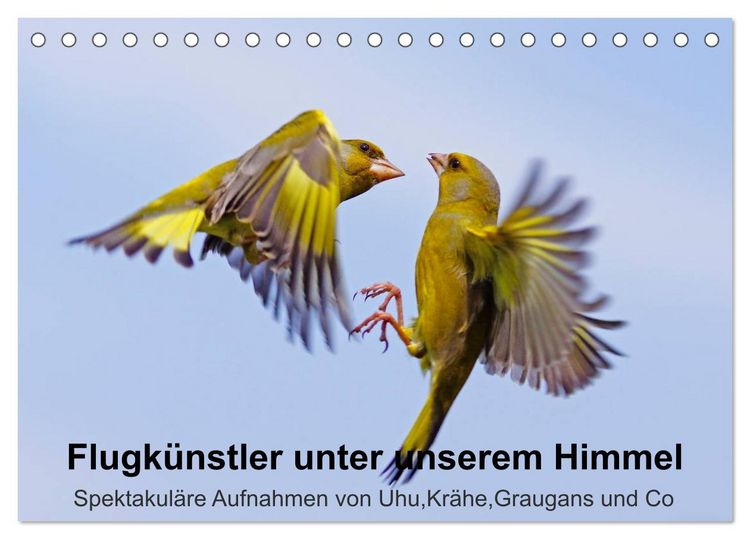 Produktbild: Flugk&uuml;nstler unter unserem Himmel - Spektakul&auml;re Aufnahmen von Uhu,Kr&auml;he,Graugans und Co (Tischkalender 2026 DIN A5 quer), CALVENDO Monatskalender