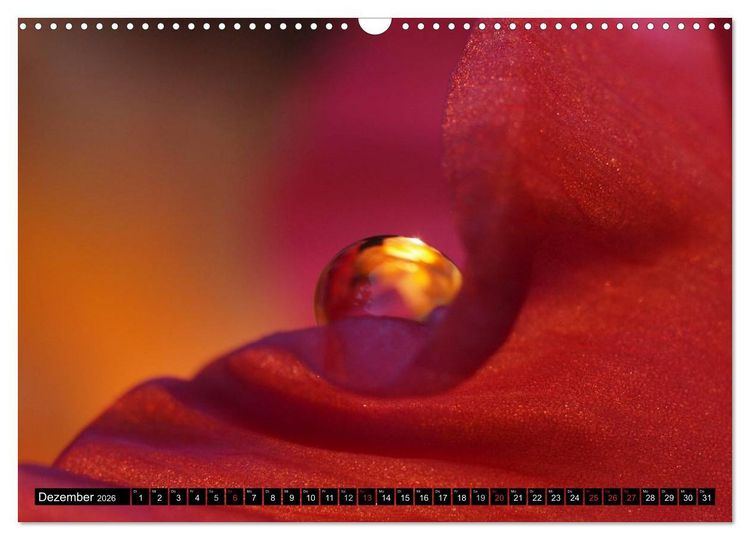 Produktbild: Wassertropfen - Diamanten des Lebens (Wandkalender 2026 DIN A3 quer), CALVENDO Monatskalender
