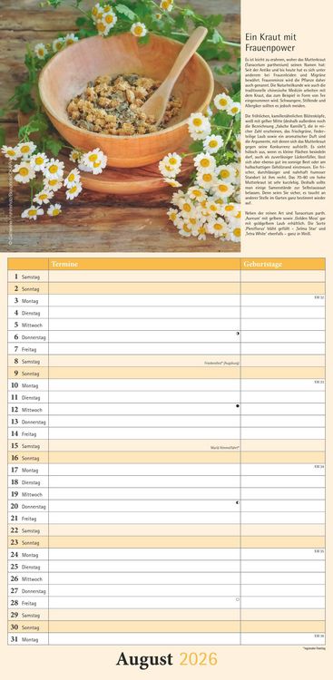Kräuter & Gewürze 2026 - Streifenkalender 22x45 cm - mit Extraspalte für Geburtstage - Küchentipps und Mondphasen - Wandkalender - Terminplaner