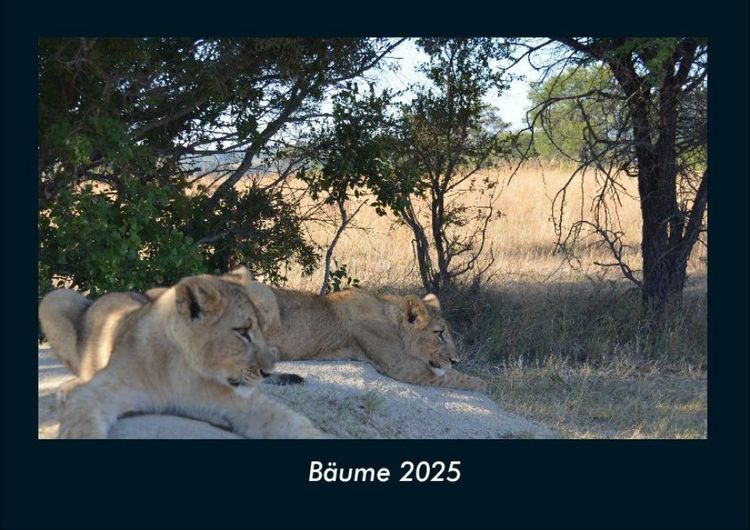 Produktbild: B&auml;ume 2025 Fotokalender DIN A4