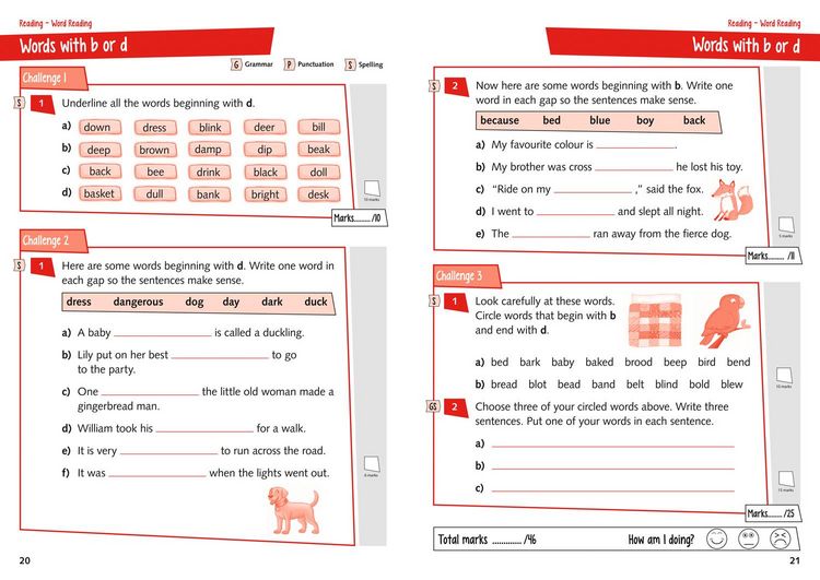 Produktbild: Leckie: P1/P2 English Practice Workbook