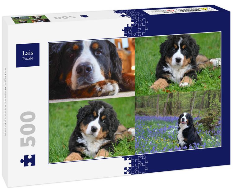 Produktbild: Lais Puzzle Collage Berner Sennenhund 500 Teile
