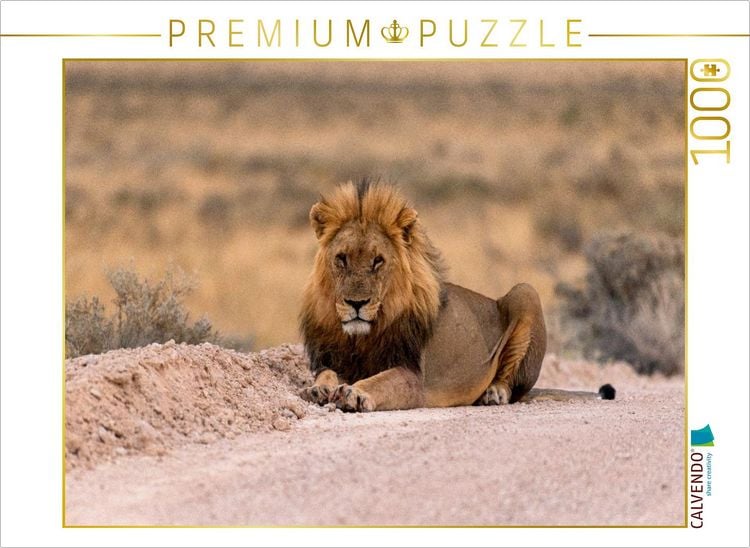 Produktbild: CALVENDO Puzzle Majest&auml;tische L&ouml;we | 1000 Teile Lege-Gr&ouml;&szlig;e 64x48cm Foto-Puzzle f&uuml;r gl&uuml;ckliche Stunden