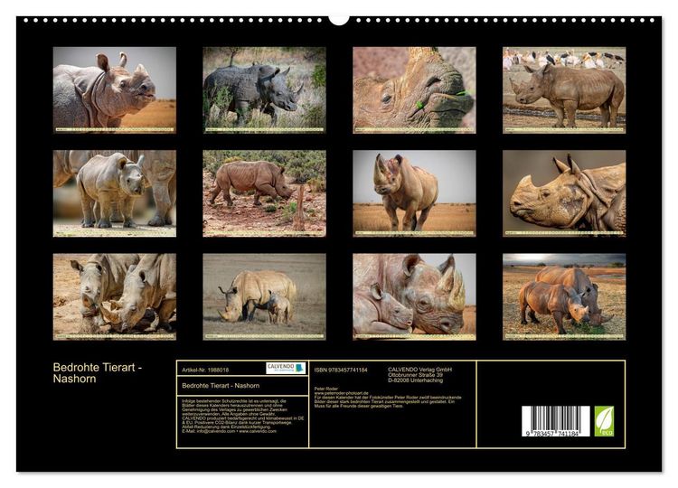 Produktbild: Bedrohte Tierart - Nashorn (hochwertiger Premium Wandkalender 2026 DIN A2 quer), Kunstdruck in Hochglanz