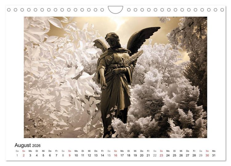 Produktbild: your guardian angel - Dein Schutzengel f&uuml;r jeden Tag (Wandkalender 2026 DIN A4 quer), CALVENDO Monatskalender