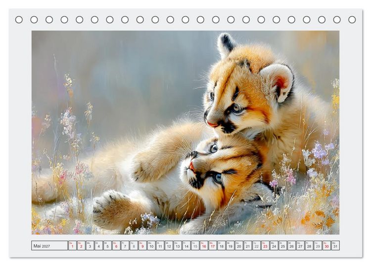Produktbild: Pumababys. Verspielte Bergl&ouml;wenkinder in der Natur (Tischkalender 2027 DIN A5 quer), CALVENDO Monatskalender