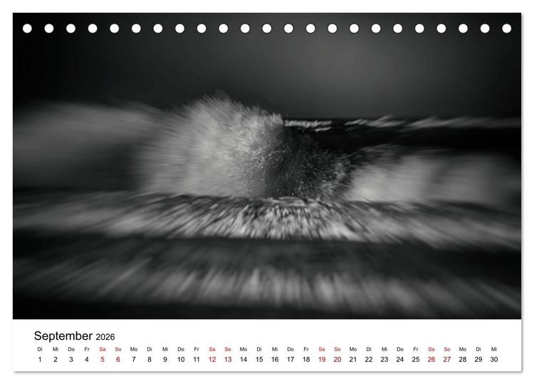 Produktbild: Sylt ... bewegt (Tischkalender 2026 DIN A5 quer), CALVENDO Monatskalender