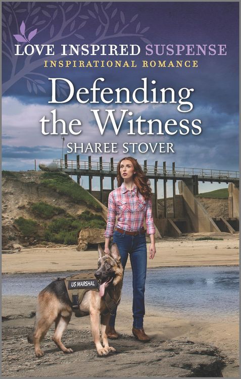 Produktbild: Defending the Witness