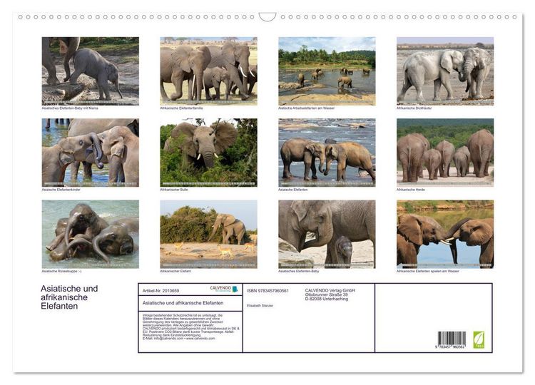 Produktbild: Asiatische und afrikanische Elefanten (Wandkalender 2026 DIN A2 quer), CALVENDO Monatskalender