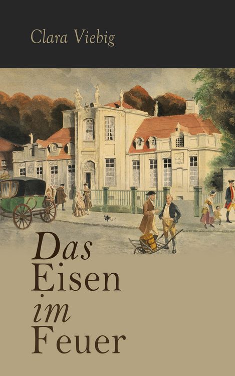 Produktbild: Das Eisen im Feuer