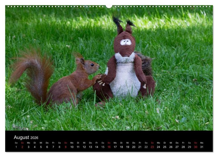 Produktbild: Mit dem Eichh&ouml;rnchen durchs Jahr (hochwertiger Premium Wandkalender 2026 DIN A2 quer), Kunstdruck in Hochglanz