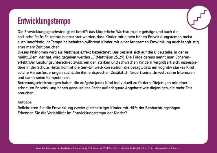 Produktbild: Meilensteine der kindlichen Entwicklung