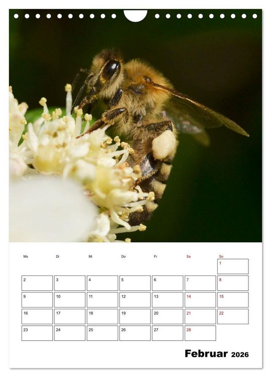 Produktbild: Hummeln und Bienen Terminplaner (Wandkalender 2026 DIN A4 hoch), CALVENDO Monatskalender