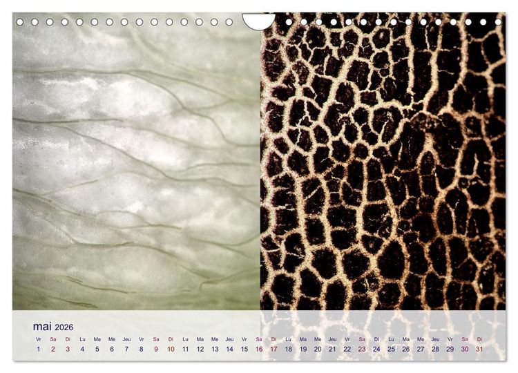 Produktbild: C&oelig;ur de fruits c&oelig;ur de l&eacute;gumes (Calendrier mural 2026 DIN A4 vertical), CALVENDO calendrier mensuel