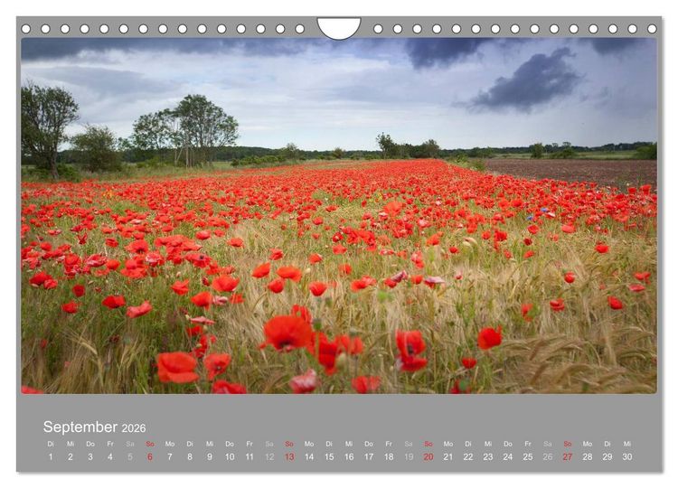 Produktbild: &Ouml;LAND - Besuch im etwas anderen Schweden 2026 (Wandkalender 2026 DIN A4 quer), CALVENDO Monatskalender