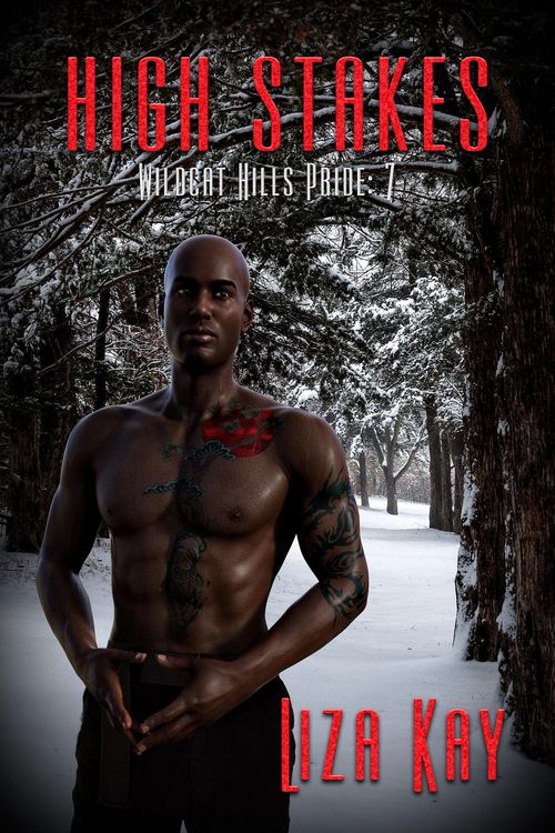 Produktbild: High Stakes (Wildcat Hills Pride, #7)