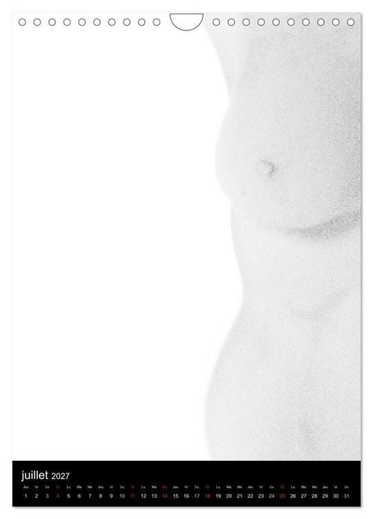 Produktbild: F&eacute;minit&eacute; (Calendrier mural 2027 DIN A4 horizontal), CALVENDO calendrier mensuel