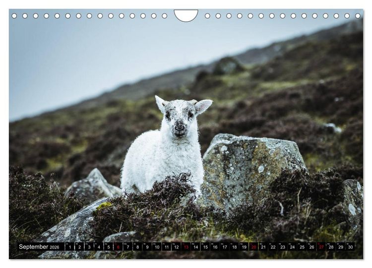 Produktbild: Isle of Skye - so sch&ouml;n kann schlechtes Wetter sein (Wandkalender 2026 DIN A4 quer), CALVENDO Monatskalender