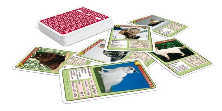 Produktbild: TOP ASS - Katzen