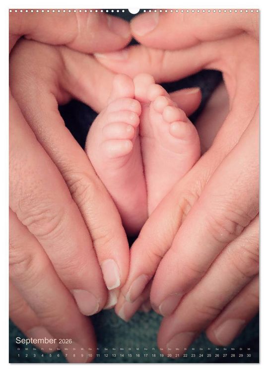 Produktbild: Babys - Die Liebe des Lebens (hochwertiger Premium Wandkalender 2026 DIN A2 hoch), Kunstdruck in Hochglanz