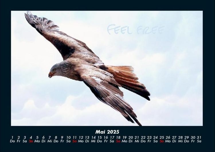 Produktbild: Adler 2025 Fotokalender DIN A4