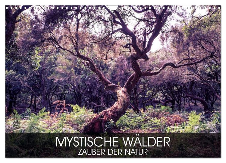 Produktbild: Mystische W&auml;lder - Zauber der Natur (Wandkalender 2026 DIN A3 quer), CALVENDO Monatskalender