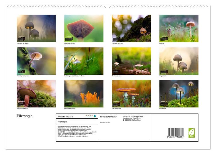 Produktbild: Pilzmagie (hochwertiger Premium Wandkalender 2026 DIN A2 quer), Kunstdruck in Hochglanz