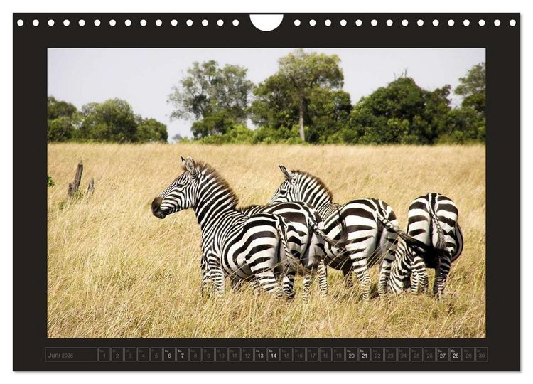 Produktbild: Kenia (Wandkalender 2026 DIN A4 quer), CALVENDO Monatskalender