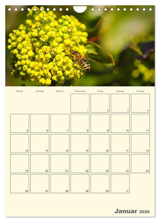 Produktbild: Bienen im Naturgarten (Wandkalender 2026 DIN A4 hoch), CALVENDO Monatskalender