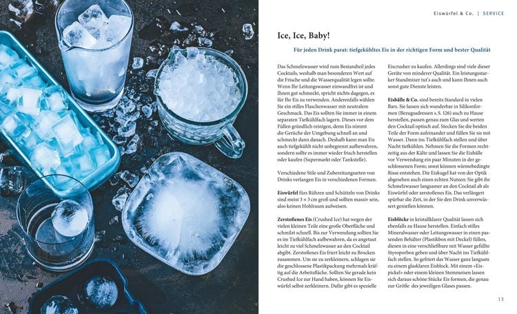 Produktbild: Cocktails selbst gemixt