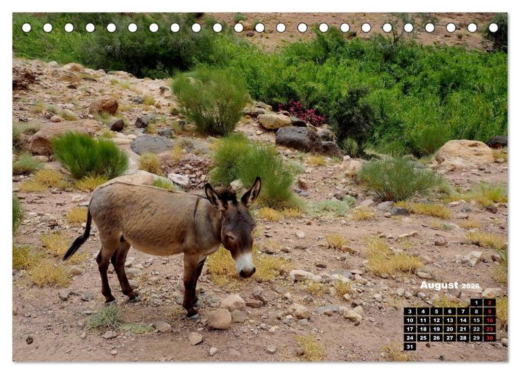 Produktbild: Jordanien. K&ouml;nigreich in der W&uuml;ste (Tischkalender 2026 DIN A5 quer), CALVENDO Monatskalender