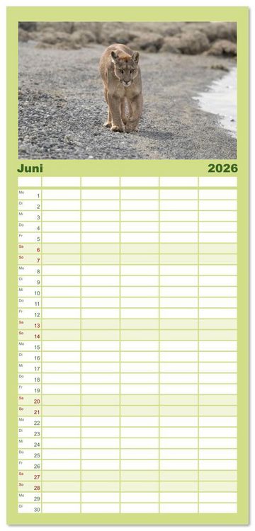 Produktbild: Familienplaner 2026 - Wildlife S&uuml;damerika mit 5 Spalten (Wandkalender, 21 x 45 cm) CALVENDO