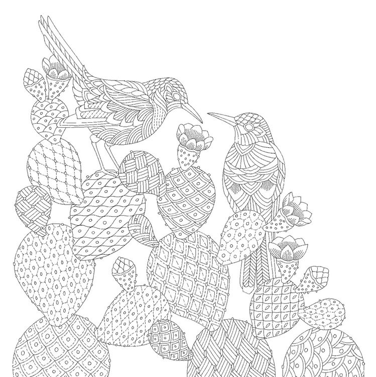 Produktbild: Millie Marotta's Animal Adventures