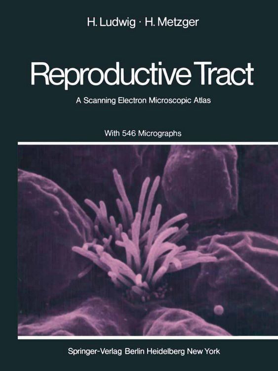 Produktbild: The Human Female Reproductive Tract
