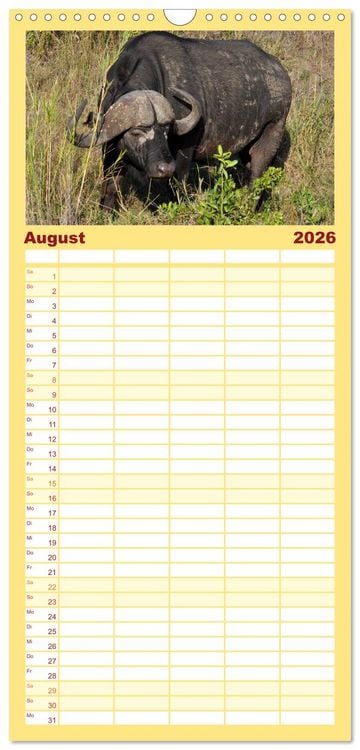 Häfft Familienplaner 2026 - Wandkalender Mit 5 Spalten & Blattgold Design