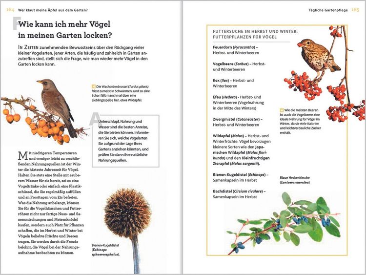Produktbild: Wer klaut meine &Auml;pfel aus dem Garten