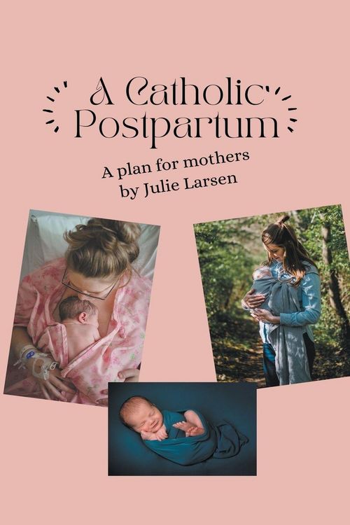 Produktbild: A Catholic Postpartum