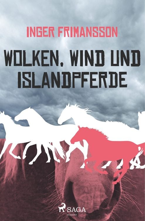 Produktbild: Wolken, Wind und Islandpferde