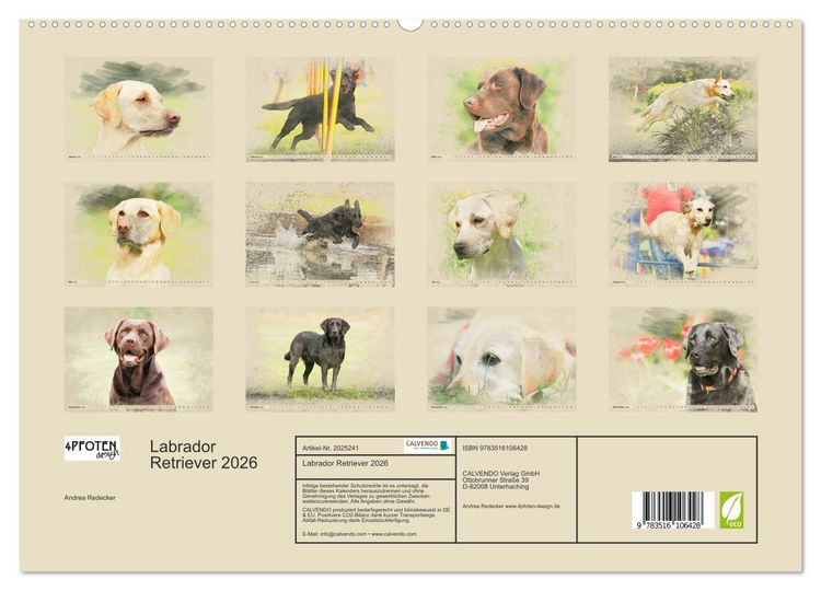 Produktbild: Labrador Retriever 2026 (hochwertiger Premium Wandkalender 2026 DIN A2 quer), Kunstdruck in Hochglanz