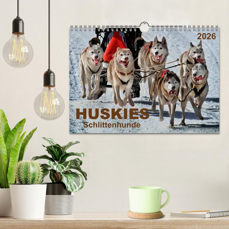 Produktbild: Huskies - Schlittenhunde (Wandkalender 2026 DIN A4 quer), CALVENDO Monatskalender