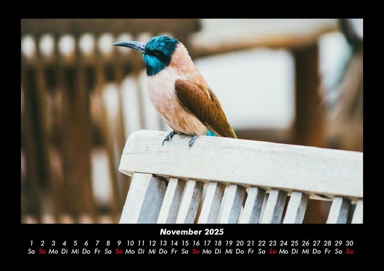 Produktbild: Vogelparadies 2025 Fotokalender DIN A3