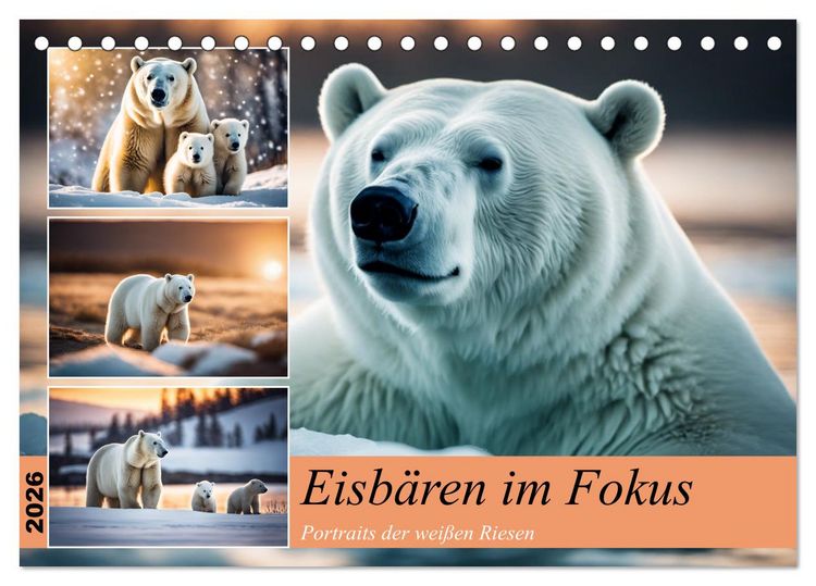 Produktbild: Eisb&auml;ren im Fokus (Tischkalender 2026 DIN A5 quer), CALVENDO Monatskalender