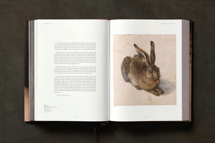 Produktbild: Albrecht D&uuml;rer