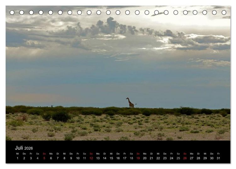 Produktbild: Giraffen &ndash; Faszination der Wildnis (Tischkalender 2026 DIN A5 quer), CALVENDO Monatskalender