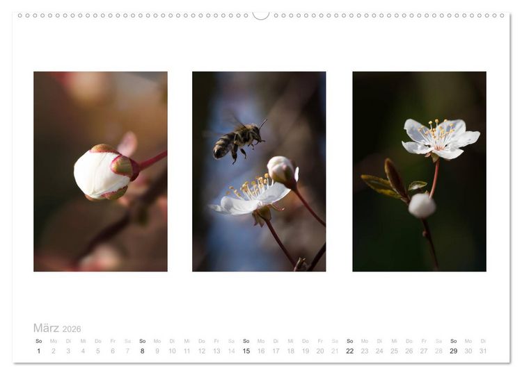 Produktbild: Blumen Trilogien (hochwertiger Premium Wandkalender 2026 DIN A2 quer), Kunstdruck in Hochglanz
