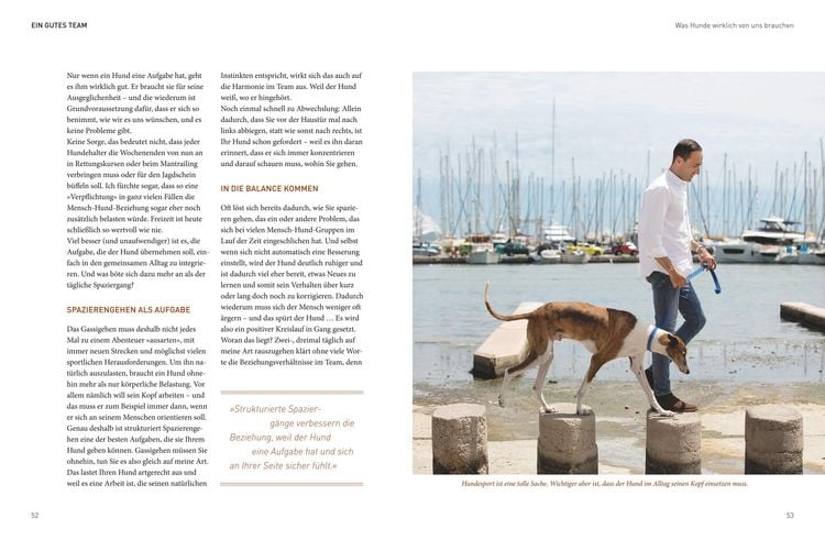Produktbild: Die Jos&eacute;-Arce-Methode: Liebe Deinen Hund. Wie Sie beim Gassigehen die Beziehung st&auml;rken