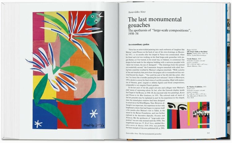 Produktbild: Matisse