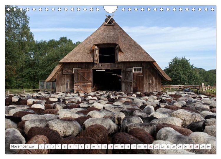 Produktbild: Die L&uuml;neburger Heide - Ausflugsziel im Norden (Wandkalender 2027 DIN A4 quer), CALVENDO Monatskalender