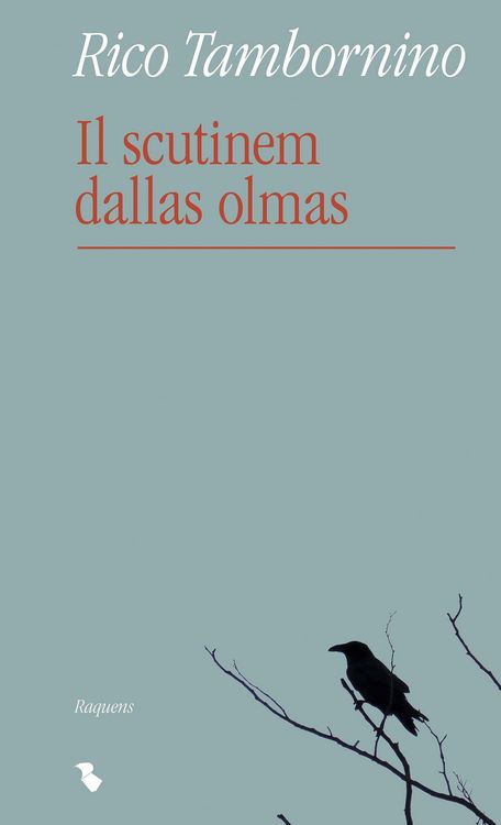 Produktbild: Il scutinem dallas olmas